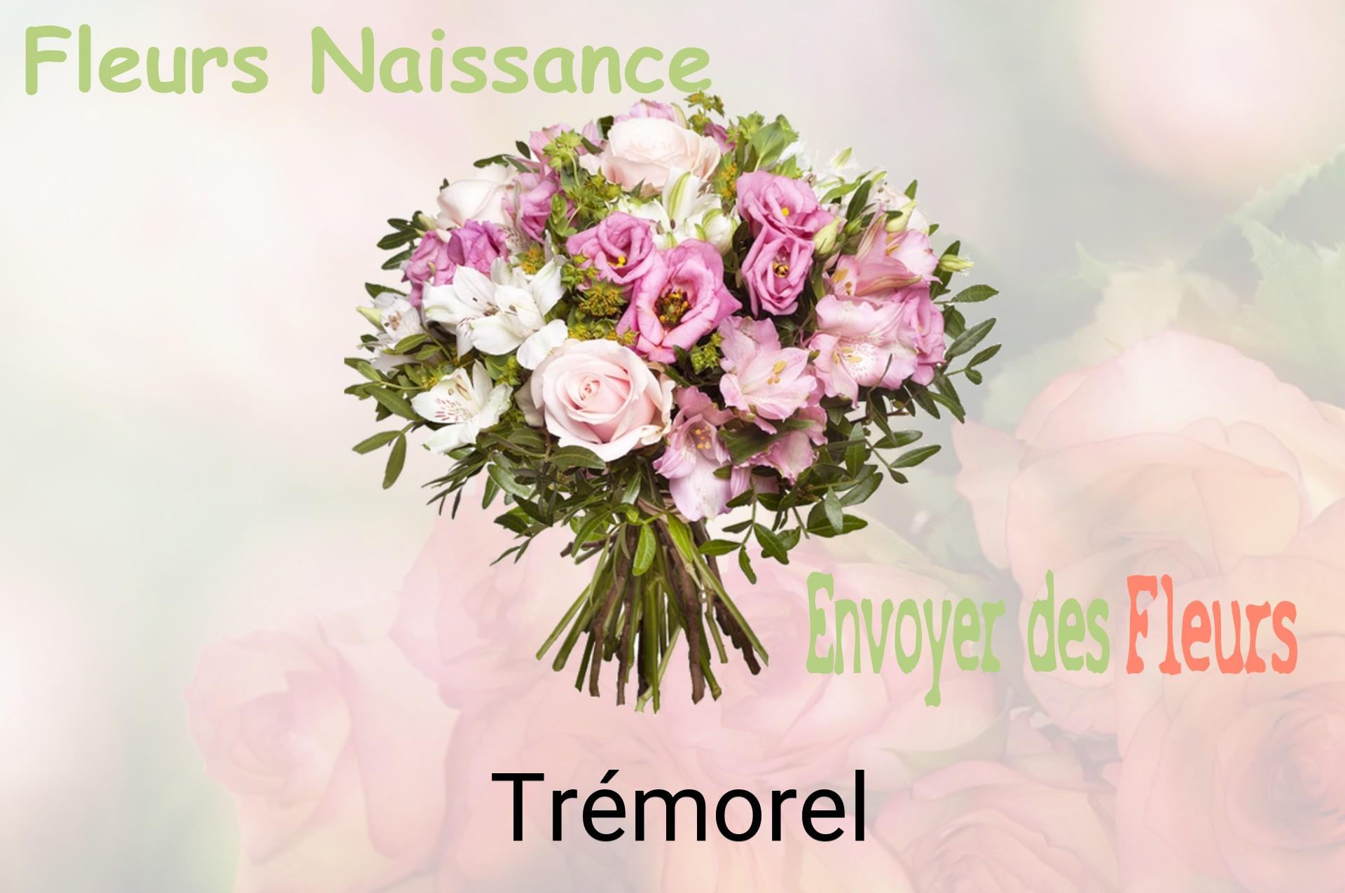 Bouquet de fleurs de naissance livré à Trémorel